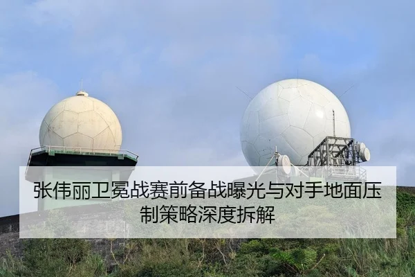 张伟丽卫冕战赛前备战曝光与对手地面压制策略深度拆解