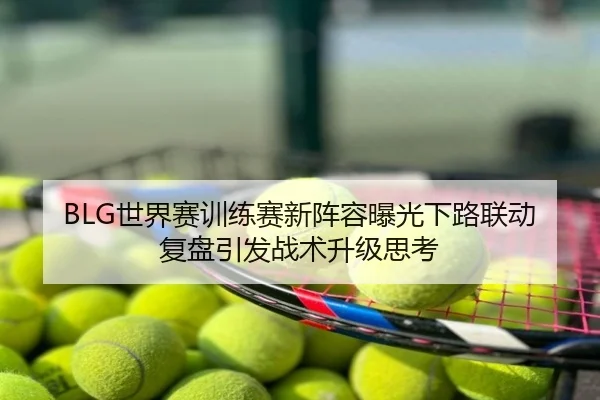 BLG世界赛训练赛新阵容曝光下路联动复盘引发战术升级思考
